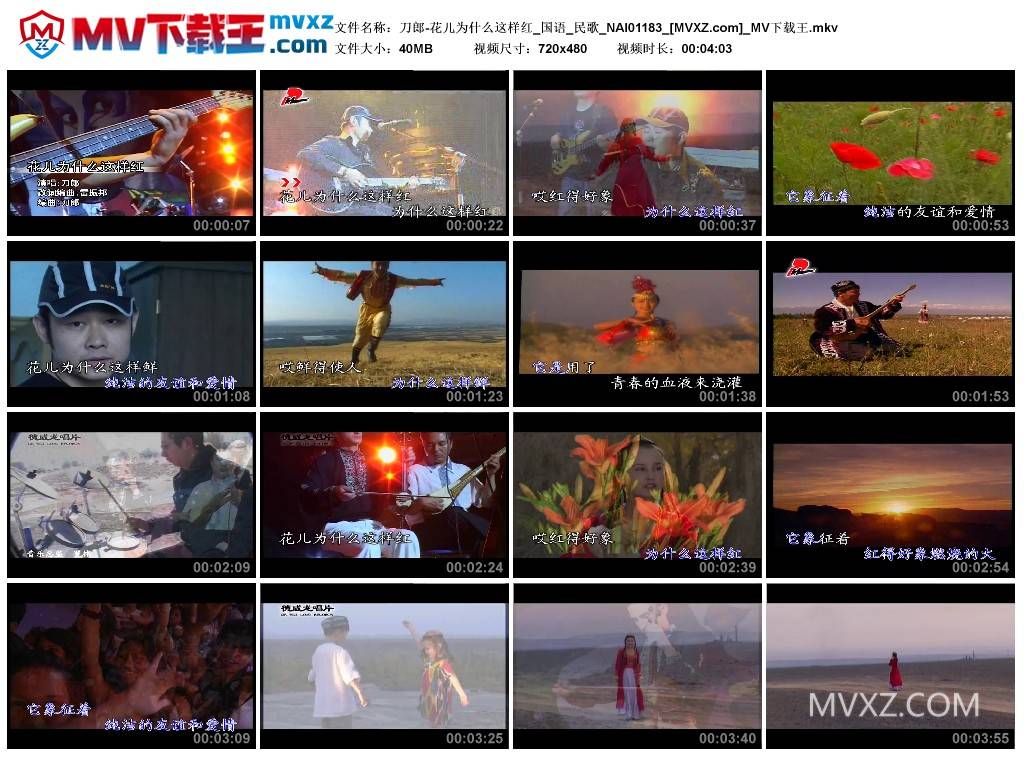 刀郎-花儿为什么这样红_国语_民歌_NAI01183